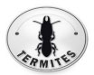Diagnostic Termites - Expertim Immobilier